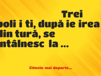 Banc: Trei polițiști, după ieșirea din tură, se întâlnesc  la o bere într-un…