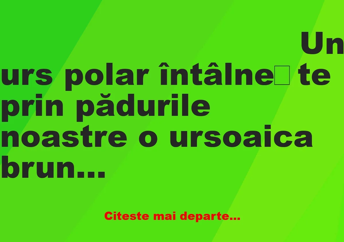 Banc: Un urs polar întâlnește prin pădurile noastre o ursoaica bruna,…