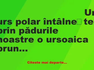 Banc: Un urs polar întâlnește prin pădurile noastre o ursoaica bruna,…