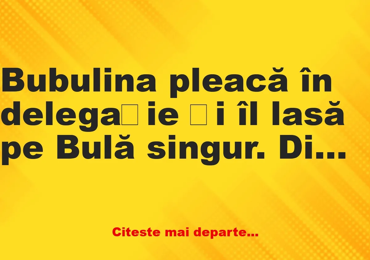 Banc: Bubulina pleacă în delegație și îl lasă pe Bulă singur. Dimineața,…