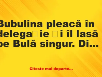 Banc: Bubulina pleacă în delegație și îl lasă pe Bulă singur. Dimineața,…