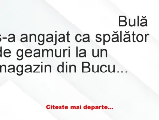 Banc: Bulă are un nou job: spălător de geamuri la un magazin din București