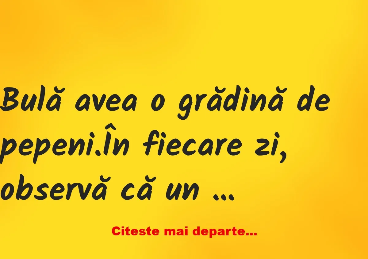 Banc: Bulă avea o grădină de pepeni. În fiecare zi, observă că un hoț îi…