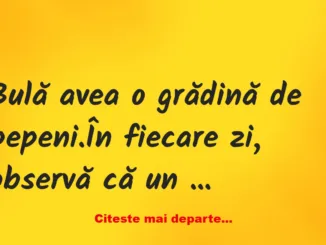 Banc: Bulă avea o grădină de pepeni. În fiecare zi, observă că un hoț îi…