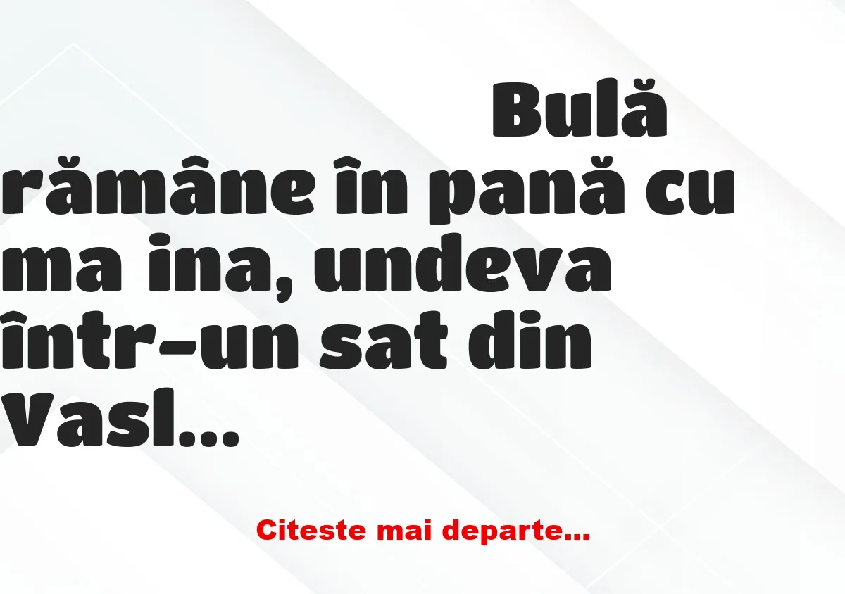 Banc: Bulă, în pat cu fata unui fermier din Vaslui: – Bulă, încetează sau îl…