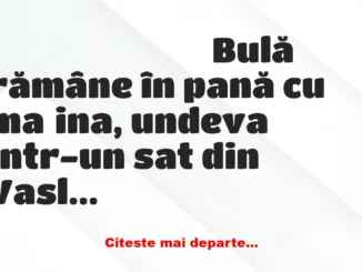 Banc: Bulă, în pat cu fata unui fermier din Vaslui: – Bulă, încetează sau îl…