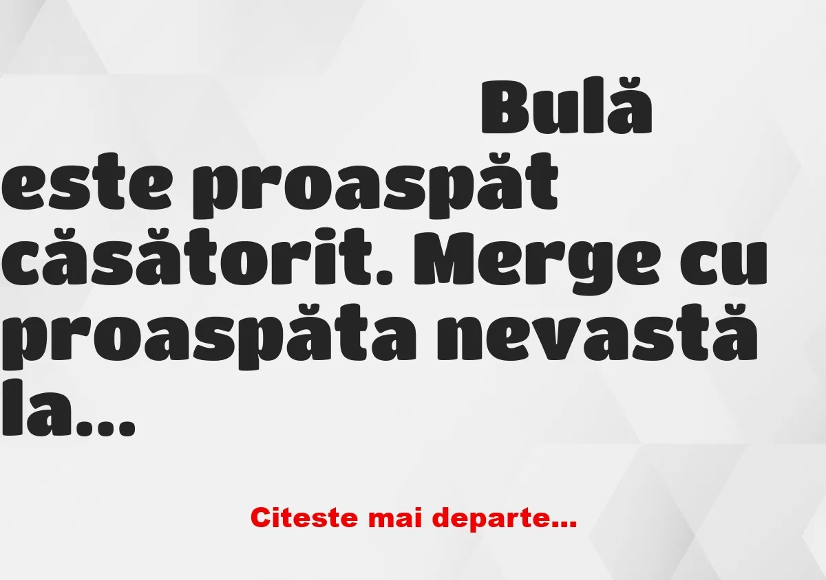 Banc: Bulă merge cu nevasta la hotel, după nuntă: – Draga mea, când începem?