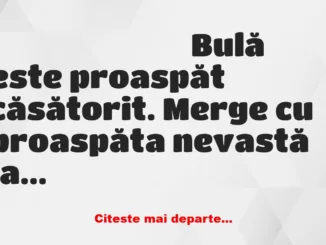 Banc: Bulă merge cu nevasta la hotel, după nuntă: – Draga mea, când începem?