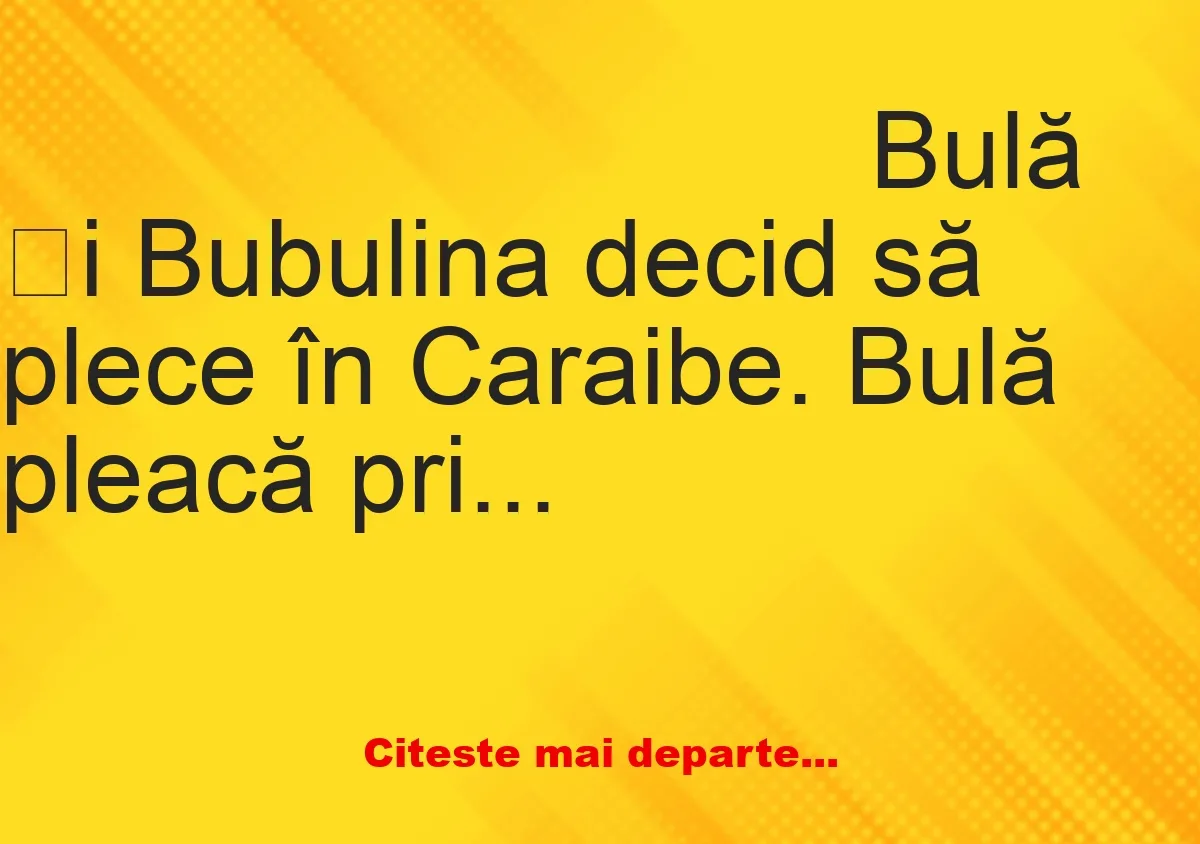 Banc: Bulă și Bubulina decid să plece în Caraibe. Bulă pleacă primul