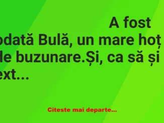 Banc: Bulă și Bubulina, renumiți hoți de buzunare, hotărăsc să ducă meseria…