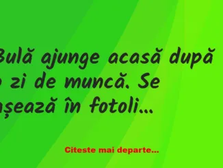 Banc: Bulă și Bubulina, un cuplu normal. – Bubulino, adu-mi o bere, repede,…