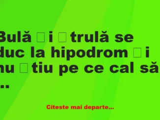 Banc: Bulă și Ștrulă se duc la hipodrom și nu știu pe ce cal să parieze