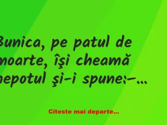 Banc: Bunica, pe patul de moarte, îşi cheamă nepotul şi-i spune: vreau ca tu…