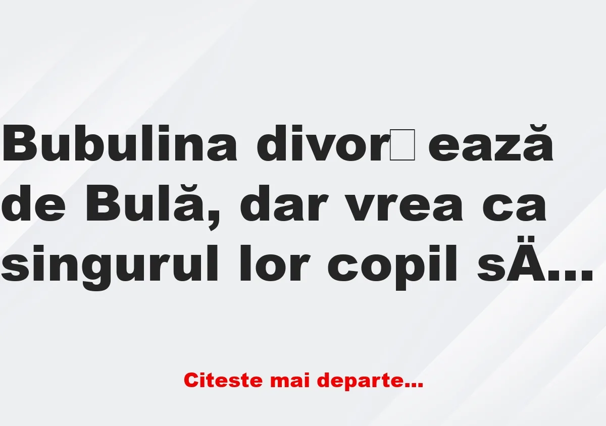 Banc: – Doamna Bubulina, de ce doriți să aveți custodia copilului?