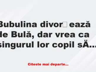 Banc: – Doamna Bubulina, de ce doriți să aveți custodia copilului?