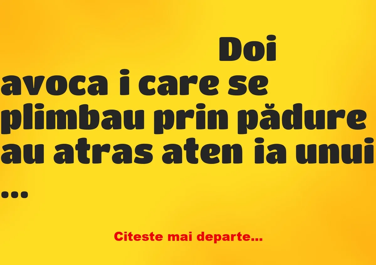 Banc: Doi avocați care se plimbau prin pădure au atras atenția unui urs…