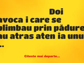 Banc: Doi avocați care se plimbau prin pădure au atras atenția unui urs…