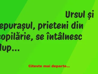 Banc: Iepurașul era la costum, cu o mașină mișto, iar ursul un bețiv