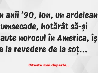 Banc: În anii ’90, Ion, un ardelean cumsecade, hotărât să-și caute norocul…