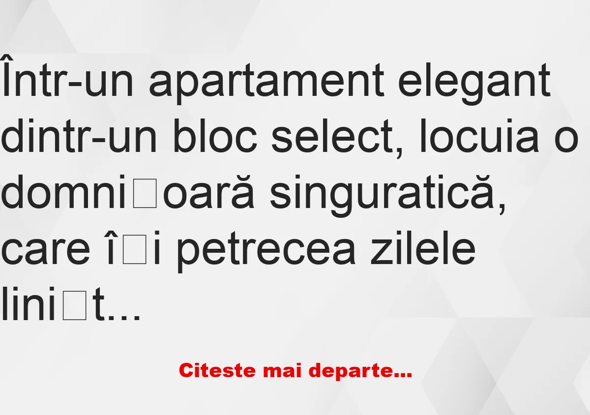 Banc: Într-un apartament elegant dintr-un bloc select, locuia o domnișoară…