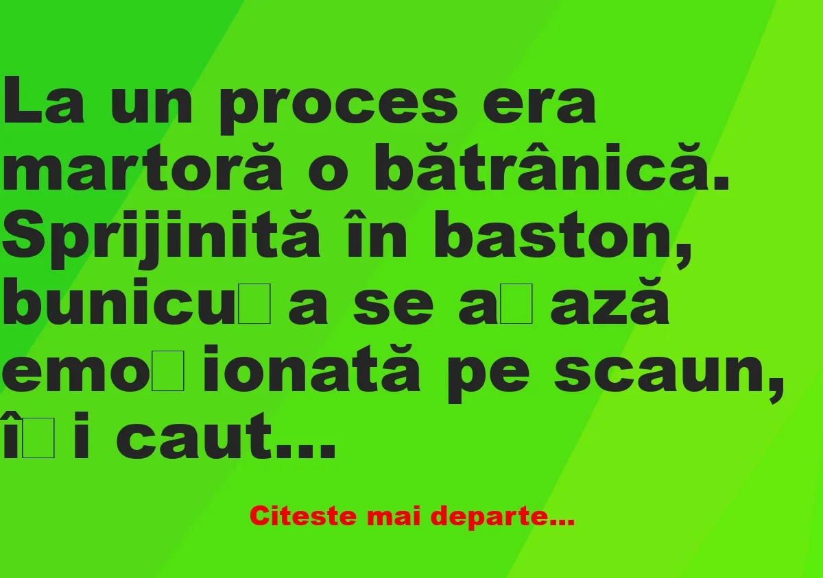 Banc: La un proces era martoră o bătrânică –