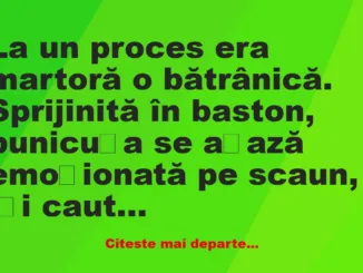 Banc: La un proces era martoră o bătrânică –