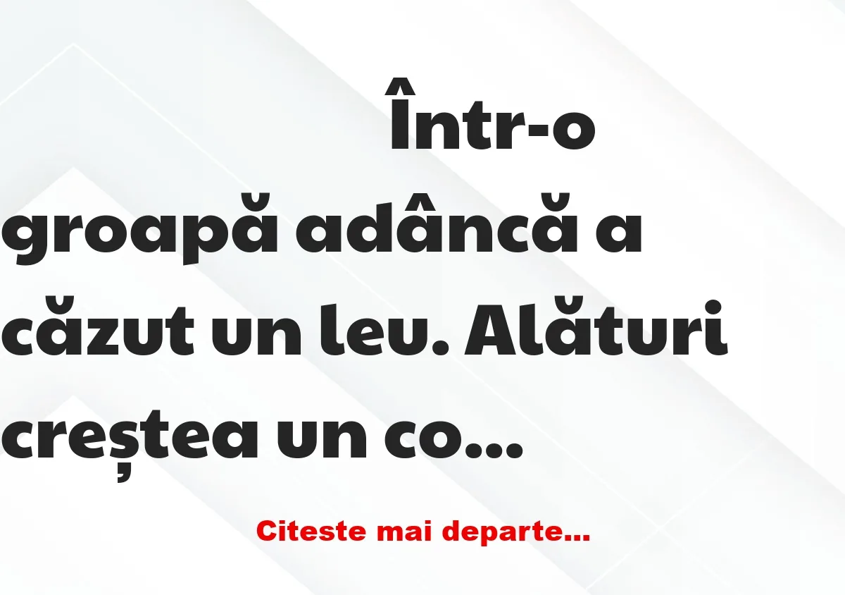 Banc: Maimuța și leul nimeresc în aceeași groapă: – Ei, gata, pisică rea ce…