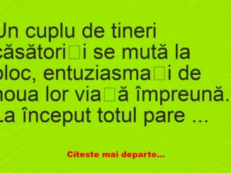 Banc: Un cuplu de tineri căsătoriți se mută la bloc –