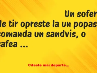 Banc: Un șofer de tir face o mică pauză