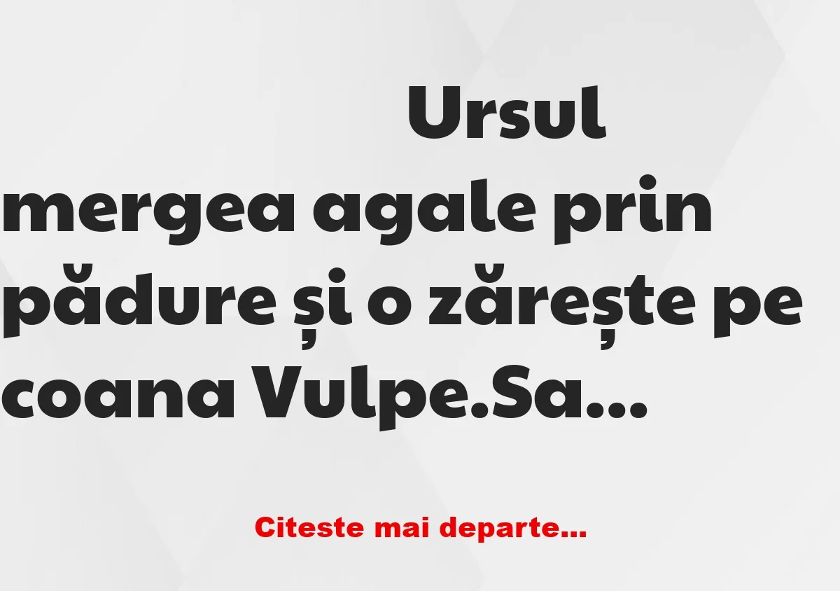 Banc: Ursul mergea agale prin pădure și o zărește pe coana Vulpe.