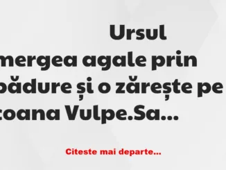 Banc: Ursul mergea agale prin pădure și o zărește pe coana Vulpe.