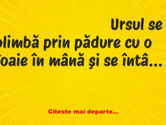 Banc: Ursul se plimbă prin pădure cu lista neagră…