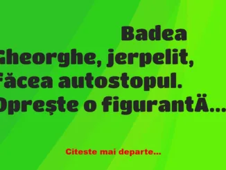 Banc: Badea Gheorghe, la autostop: – Mă gândeam că pentru 100 de dolari, m-o…