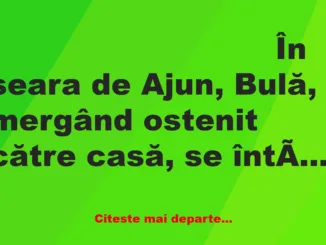 Banc: – Bulă, eu sunt Moş Crăciun şi pot să-ţi îndeplinesc trei dorinţe