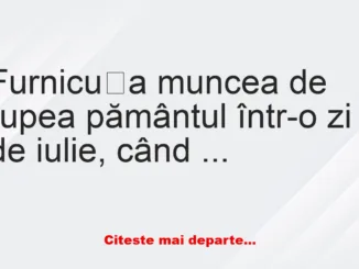 Banc: – Bună furnicuțo, ce faci?