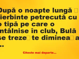 Banc: După o noapte lungă și fierbinte petrecută cu o tipă – Dracusorul…