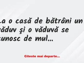 Banc: La o casă de bătrâni un văduv şi o văduvă se cunosc de multă vreme