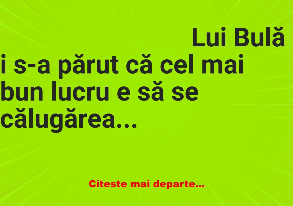 Banc: Lui Bulă i s-a părut că cel mai bun lucru e să se călugărească