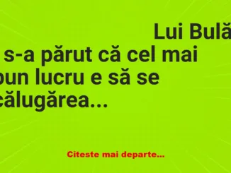 Banc: Lui Bulă i s-a părut că cel mai bun lucru e să se călugărească