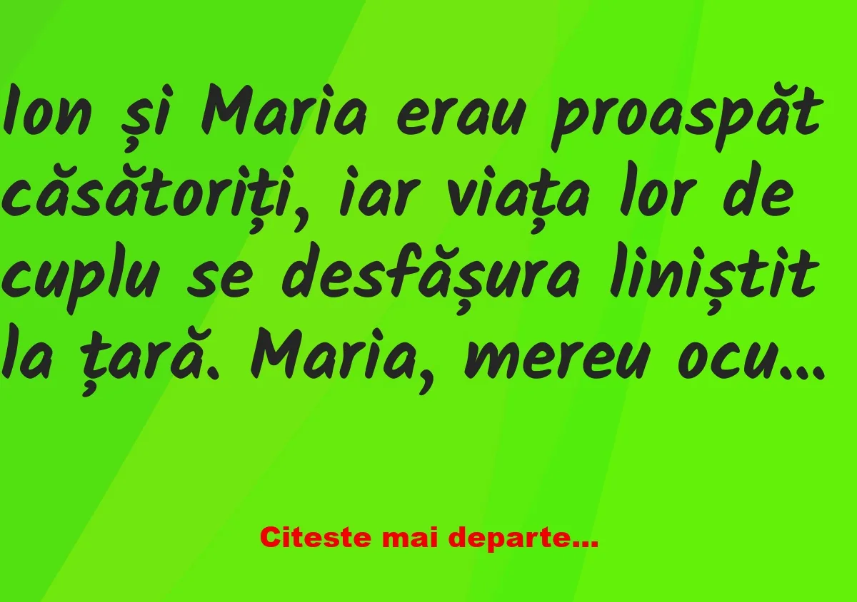 Banc: Mai Ioaneee! Vezi că Maria ta e cu Gheorghe în porumb! – Dracusorul…