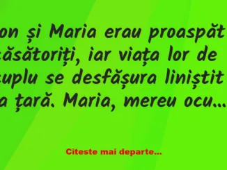 Banc: Mai Ioaneee! Vezi că Maria ta e cu Gheorghe în porumb! – Dracusorul…