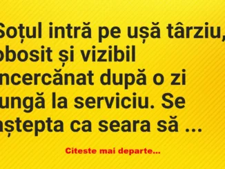 Banc: Soțul intră pe ușă târziu, obosit și vizibil încercănat – Dracusorul…