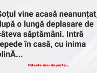 Banc: Soțul vine acasă neanunțat –