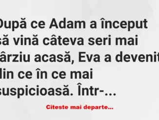 Banc: Te vezi cu altă femeie, nu-i așa? –