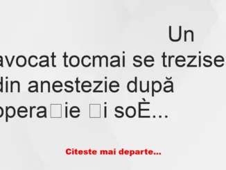 Banc: Un avocat tocmai se trezise din anestezie după operație și soția…