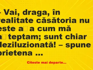 Banc: Vai, draga, în realitate căsătoria nu este așa cum mă așteptam -…