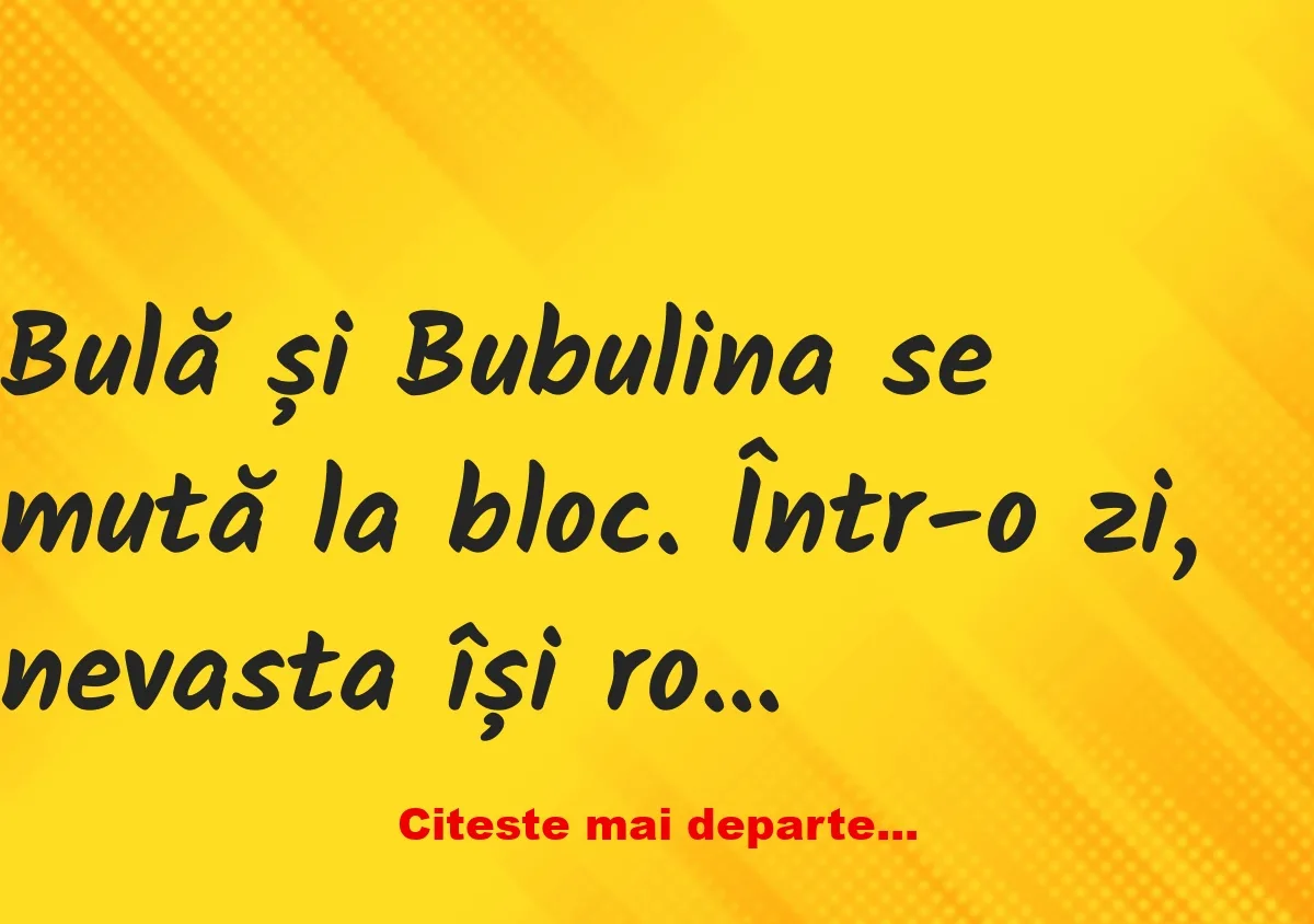 Banc: – Bulă, repară și tu lumina în bucătărie! – Da’ ce, Bubulino, eu sunt…