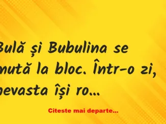 Banc: – Bulă, repară și tu lumina în bucătărie! – Da’ ce, Bubulino, eu sunt…