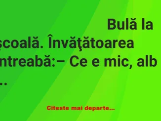 Banc: – Ce e mare, negru şi cu patru picioare?