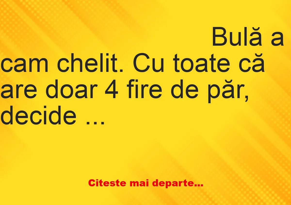 Banc: Cu toate că are doar 4 fire de păr, Bulă decide să se ducă la frizer